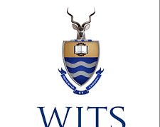 Wits University