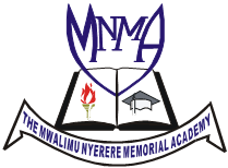 Mwalimu Nyerere Memorial Academy