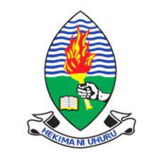 University of Dar es Salaam Online Application 2023/2024